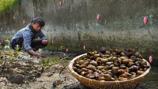 'Catch wild snails to make Chinese food小溝裡的野生螺螄,大姐加紫蘇爆炒,夫妻倆一口一個嗦的真過癮|广西 美食 |柳州大姐'