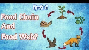 'Food Chain क्या होता है | हिन्दी में | What Is Food Chain And Food Web Full Explained By @EduTechz'