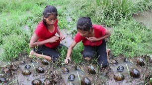 'Found snails in the lake for food of survival - Cooking snails for delicious food with sister'