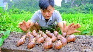 'On rainy days, snails appear a lot near the house | Food made from snails - Trọng Daily Life'