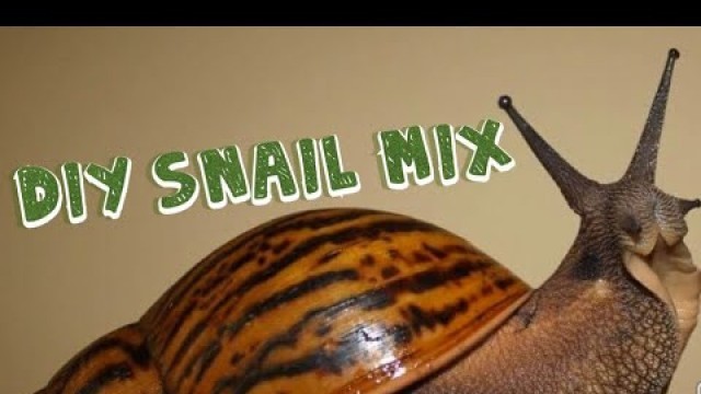 'Feeding my snails and making snail mix.'