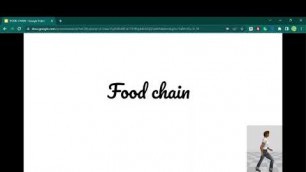 'What is Food Chain?'