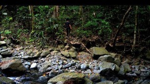 'BUSHCRAFT TRIP SURVIVAL ALONE IN THE FOREST/EATING SNAIL DIGGING WILD FOOD/WILD BOAR TRACKS'