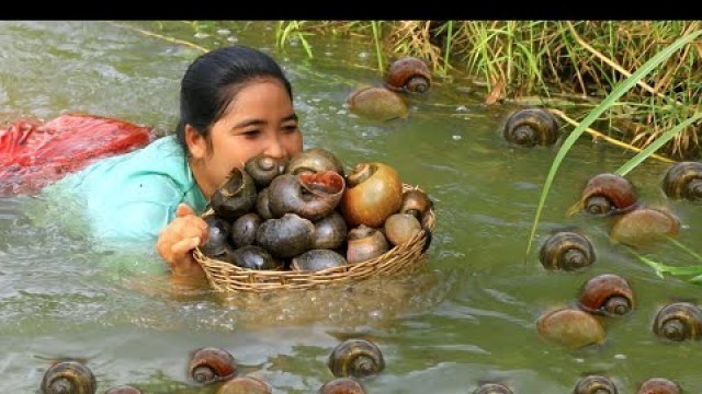 'Catch Snails in River for Food - Cook Snails with chili recipe - Village Cooking'