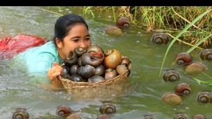 'Catch Snails in River for Food - Cook Snails with chili recipe - Village Cooking'