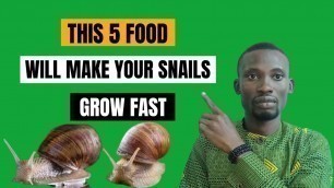 '5 major food that will improve the growth of your snails #snailfarming #snailfarmingforbeginners'