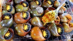 'Delicious Cooking Snails food - Yummy Snails food recipe'