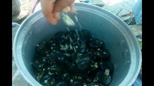 'How To Cook Snails Chinese Style / Mystery Snails Food / Street Food Snails / Food my Village Snails'