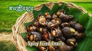 'Spicy Fried Snails - ឆាគ្រឿងខ្យង | Tasty Food Tube'