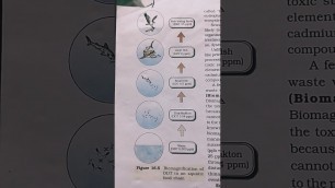 '#DDT#BIOMAGNIFICATION#aims #biology #neet #class12 #AQUATIC#FOOD CHAIN'