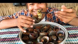 'Cooking Turbo Snails Recipe - Cooking Snail for Food Eating delicious'