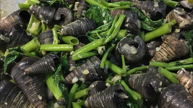 'HOW TO COOK GINATAANG SUSO | SNAILS IN COCONUT MILK RECIPE | EXOTIC FOOD | Pepperhona’s Kitchen'