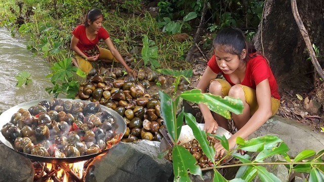 'Adventure in forest: Catch a lot snails in the river for food-Snail curry spice delicious for dinner'