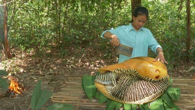 'Monster Sea Snail Cooking In Rainforest - Giant Seafood Cooking Incredible'