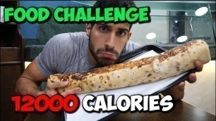 '4KG KEBAB (11400 Calories) FOIS VS FOOD'