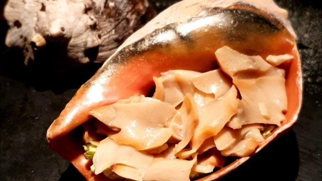 'Giant SEA SNAIL | Exotic Food'