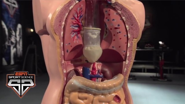 'The Science Behind Competitive Eating | Sport Science | ESPN Archives'