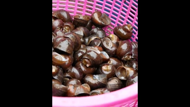 'Street Food｜River snail  # 79 #shorts #thaifood #streetfood'