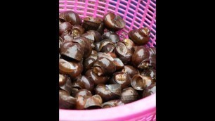 'Street Food｜River snail  # 79 #shorts #thaifood #streetfood'