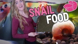 'Making Food for My SNAILS Like a Totally Normal Person - DIY Snail Food!'