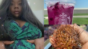 'Grocery Shopping At Aldi | Starbucks  Date W Peanut Father | Trying Indian Food For The First Time'