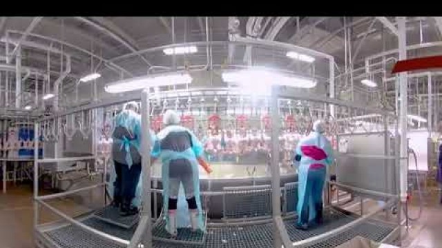 'Take a 360° Virtual Reality Tour of a Chicken Processing Plant'