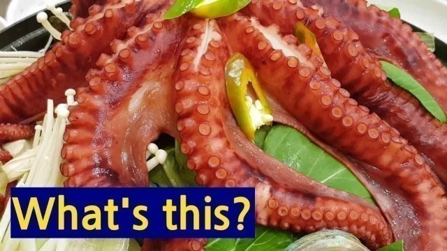 'BIG octopus - delicious Korean sea food(kfood)'