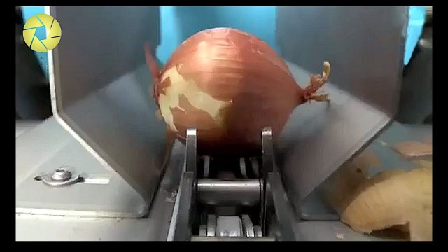 'How To Peel, Slice, Dice Onion With Only Machine | Onion Processing Plant'