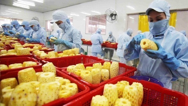 'How it made Dried Fruit - Durian,Strawberry,Pineapple Chips Processing in factory - Fruit Snack'