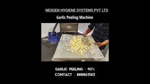 'Garlic Peeling Machine | Food Processing Solution | NEXGEN HYGIENE SYSTEM'