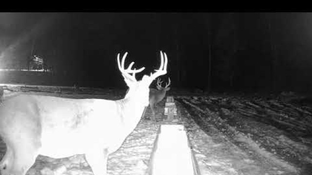 '2 bucks on first day'