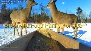 'Brownville Food Pantry For Deer ~ Full Pantry; Thank You, Dear Friend! Snowmobilesers. 2.14.20'