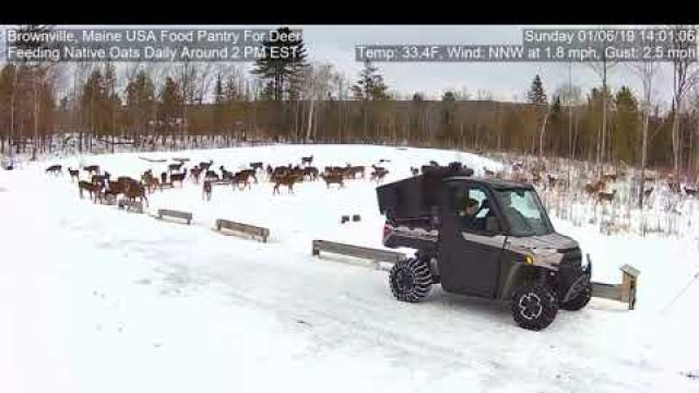 '2019/01/06 - 310  Feeding Deer of the Brownville\'s Food Pantry For Deer'