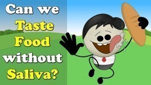 'Can we Taste Food without Saliva? + more videos | #aumsum #kids #science #education #children'