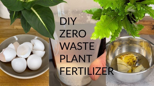 'Make Zero Waste Plant Fertilizer with Everyday Items!'