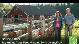 'Growing a Greener World Episode 1109: Expanding Your Food Garden By Growing Fruit'