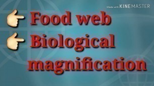 'What is Food web in detail and What is Biological magnification in hindi & english .'