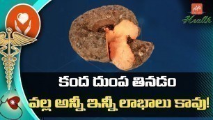 'Elephant Foot Yam Health Benefits | Benefits Of Eating Yam During Pregnancy | YOYO TV Health'