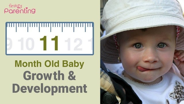 '11 Month Old Baby : Development, Activities & Care Tips'