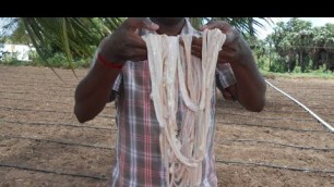 'Cooking Goat Intestine Gravy in My Village - Traditional Way - Food Money Food'