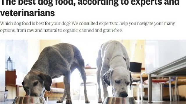 'The best dog food, according to experts and veterinarians'