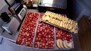 'Harvest Right Freeze Dryer: Strawberries and Apples'