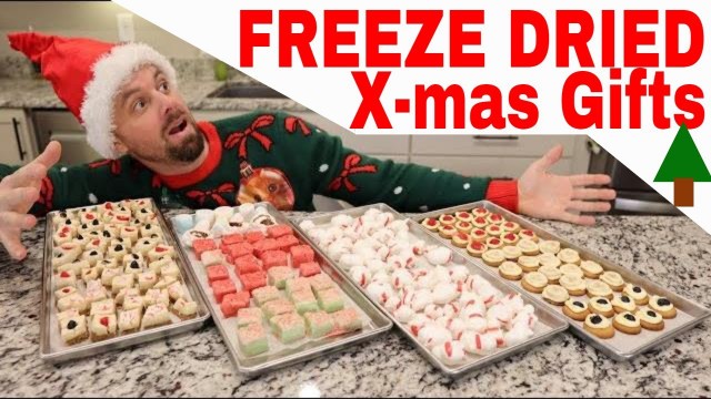 'FREEZE DRIED Christmas Gifts// Eggnog Bites, Candy Cane Taffy, Cheese Cake Bites, Vanilla Wafers'