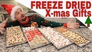 'FREEZE DRIED Christmas Gifts// Eggnog Bites, Candy Cane Taffy, Cheese Cake Bites, Vanilla Wafers'