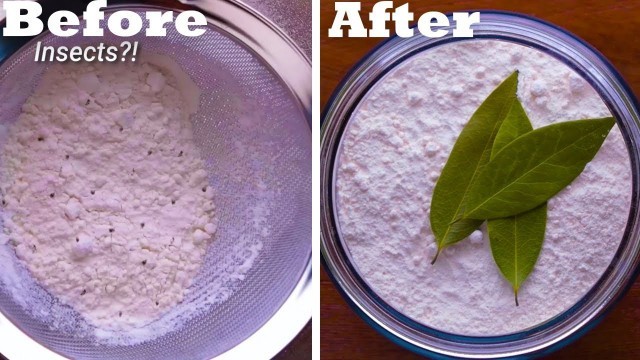 'Save Your Food AND Your Money With These 18 Preservation Hacks! | Food Hacks by Blossom'