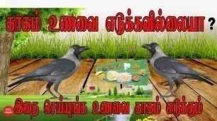 'காகங்கள் உணவை எடுக்கவில்லையா ? | Does not the Crows get your food | Crow | Food | Aanmeegam In Tamil'