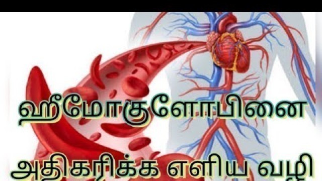 'Hemoglobin low symptoms and Increase food in tamil'