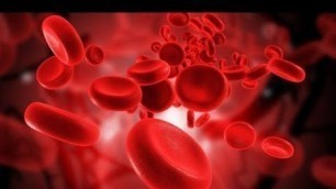 'The foods that will increase Hemoglobin in your blood'