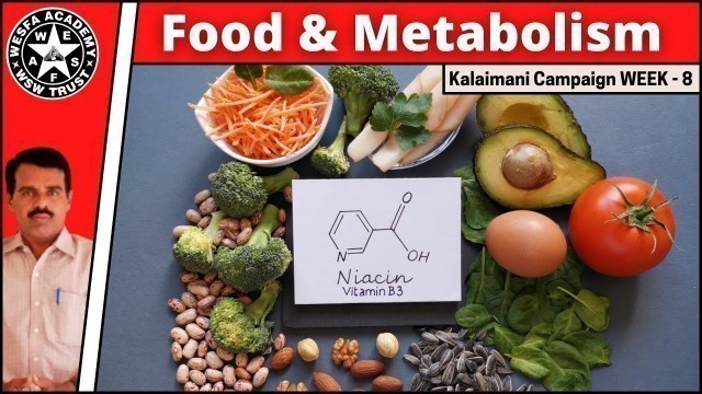 '110. How your Food Getting Metabolized ! WEEK - 8 | FOOD & METABOLISM | Yoga Sakthivel'