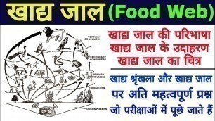 'खाद्य जाल (Food Web)| food web in hindi | food web definition, examples, diagram | khadya jaal'